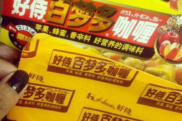 咖喱鸡的做法图解4