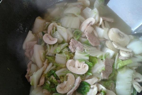 大白菜蘑菇炒肉片的做法图解2