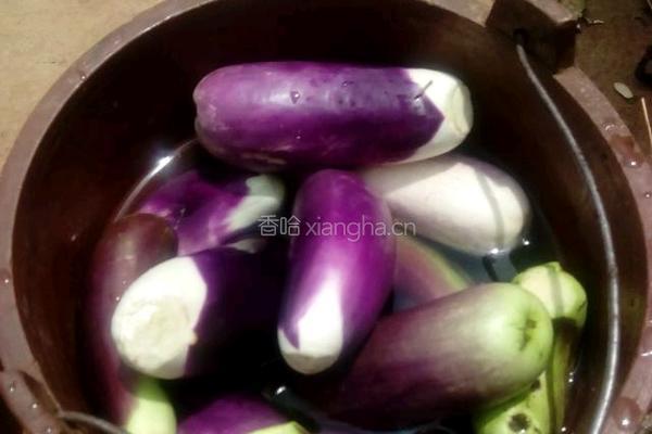 干制茄子的做法图解1