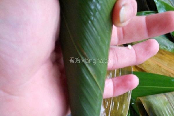 粽子的做法图解6