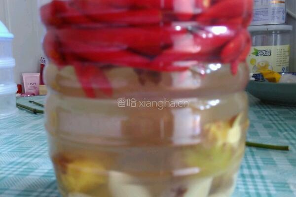 四川泡菜泡菜水