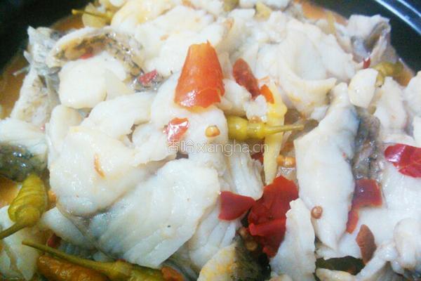酸菜鱼的做法图解8
