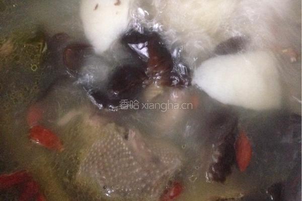 山药鸽子汤的做法图解10