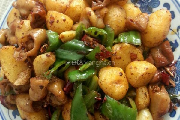 土豆烧肥肠