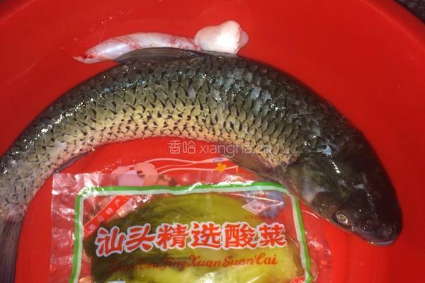 大众酸菜鱼的做法图解1