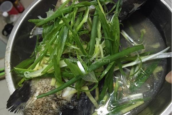 清蒸石斑的做法图解6