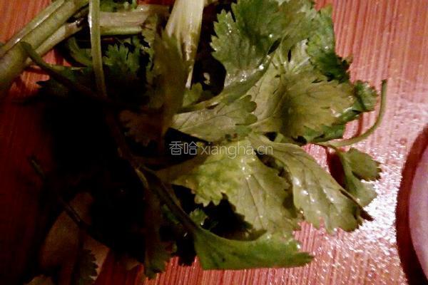 老虎菜的做法图解4
