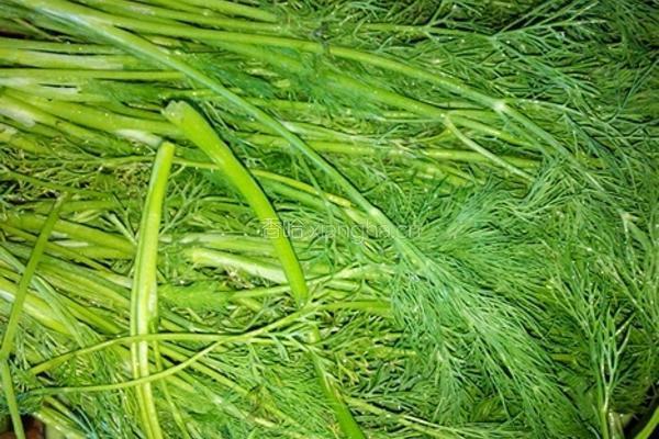茴香豆（改良版）的做法图解5