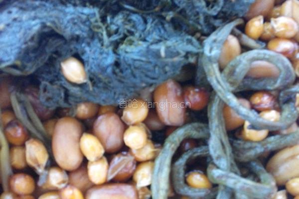 茴香豆（改良版）的做法图解7