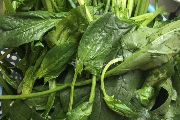 凉拌粉丝菠菜的做法图解1