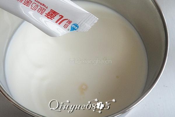 谷物果粒酸奶 的做法图解3
