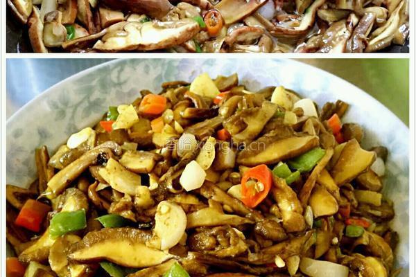 炒牛肝菌的做法图解5