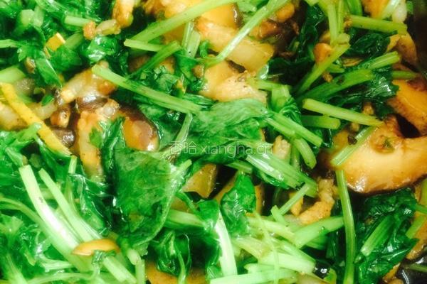 芹菜香菇肉丝的做法图解5