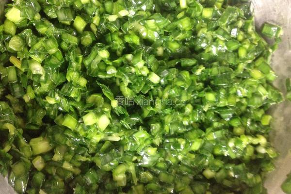 饺子(煎饺)的做法图解2
