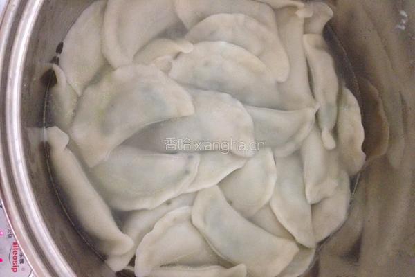 饺子(煎饺)的做法图解5