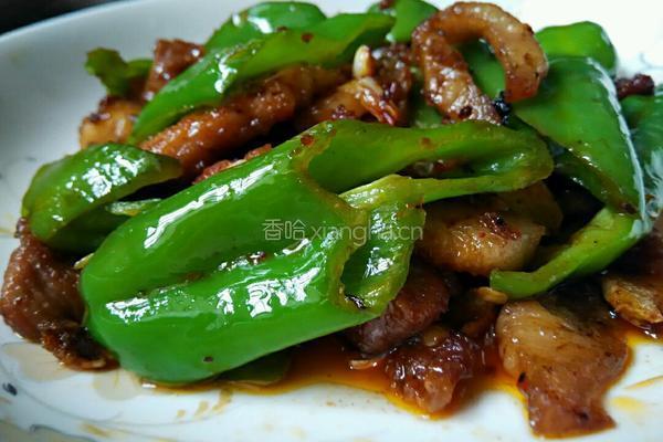 农家小炒肉的做法图解9