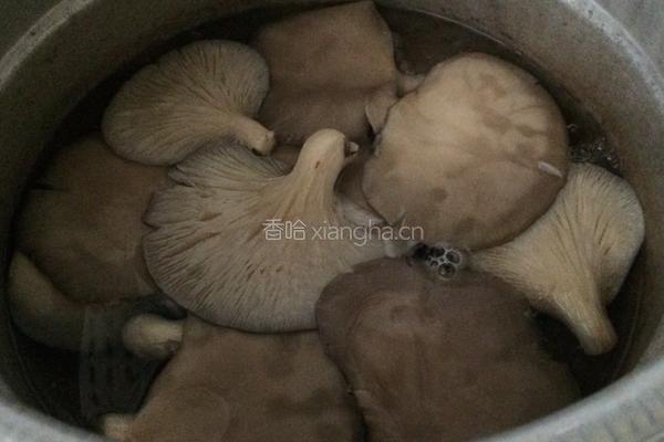 脆煎平菇的做法图解1