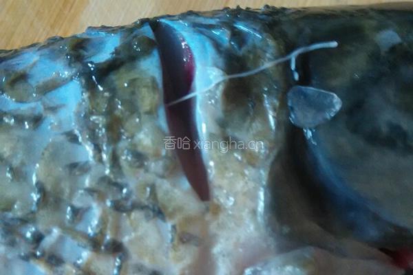红烧鱼块的做法图解2