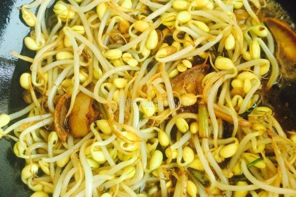 粉皮黄豆芽烧肉的做法图解4