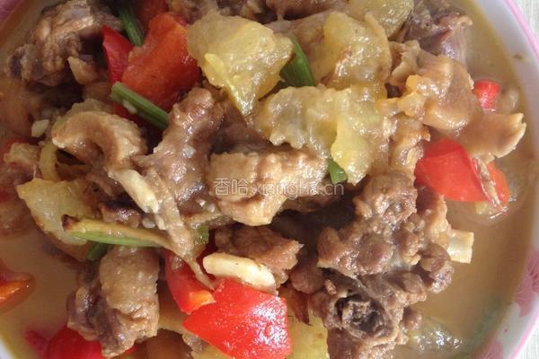 鸭肉烩冬瓜的做法图解5
