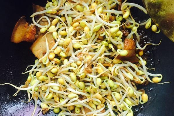海带豆芽烧肉的做法图解4