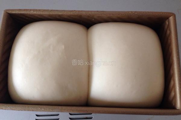 百分百中种山形吐司的做法图解4