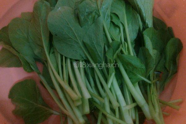 盐水菜心的做法图解2