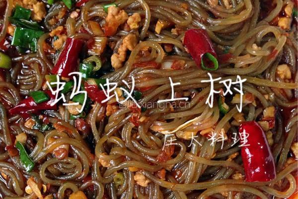 蚂蚁上树的做法图解10