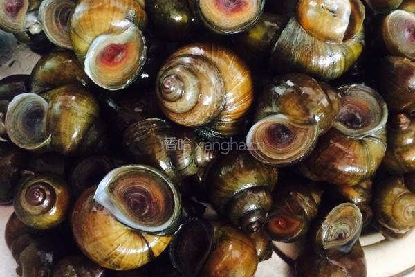 烧蜗牛的做法图解2