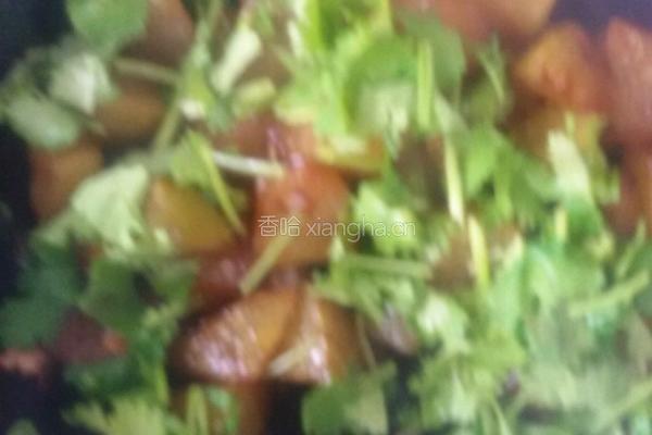 素菜烧冬瓜。的做法图解5