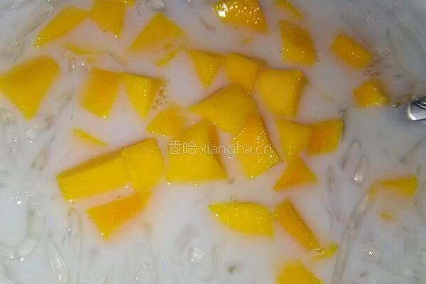 芒果椰汁海石花冻的做法图解6