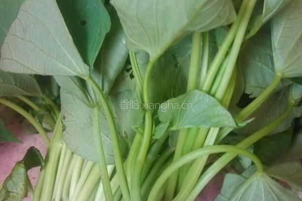 红薯叶卤鸡翅面的做法图解2