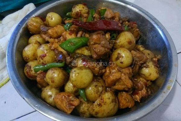 小土豆烧鸡的做法图解6