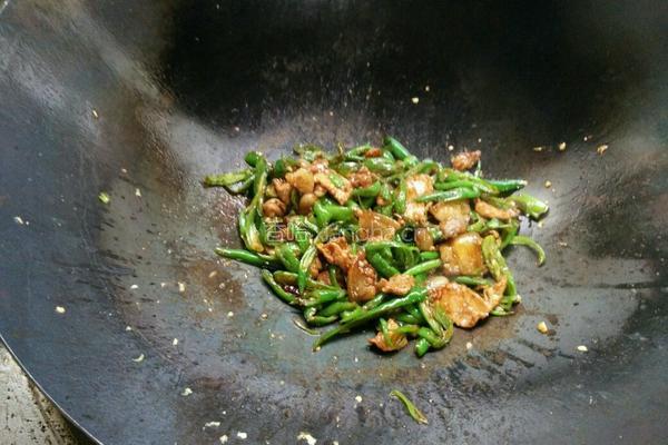农家小炒肉的做法图解5