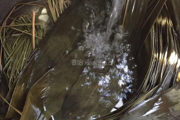 咸香粽子的做法图解1