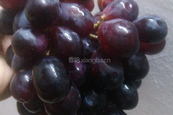 最佳配藕的做法图解1