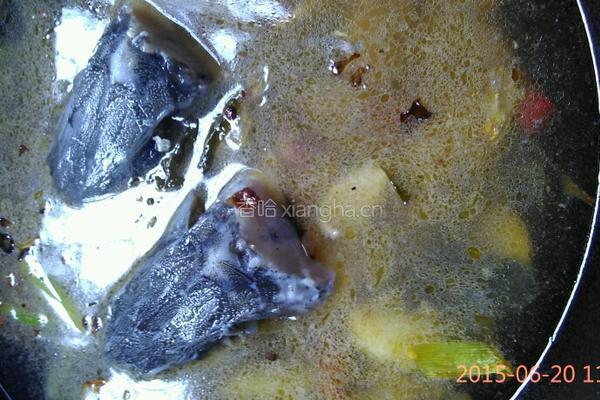 酸菜鲟鱼。的做法图解4