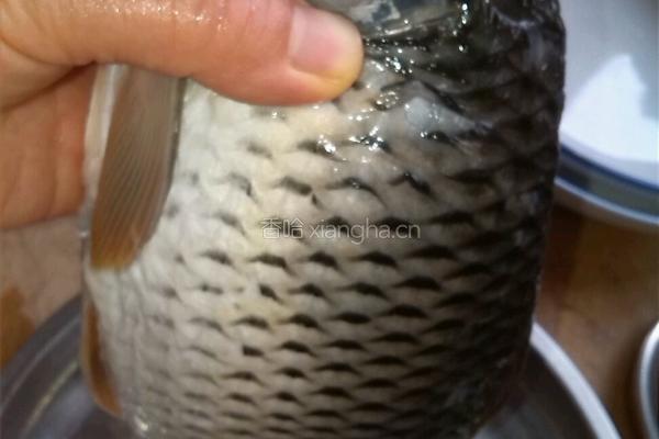 红烧鱼块的做法图解1