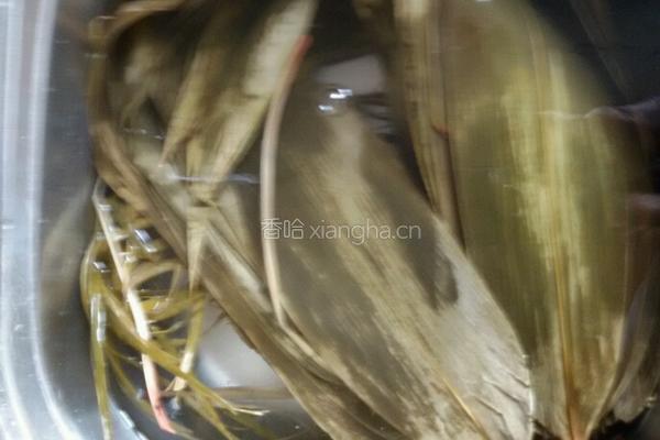 大黄米粽子的做法图解2