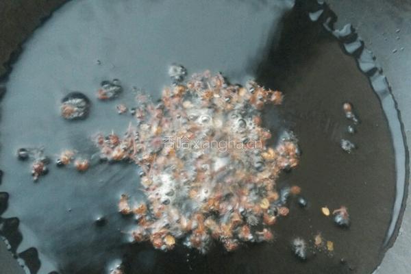 水煮肉片的做法图解4