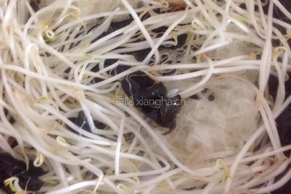 木耳炒粉丝的做法图解5