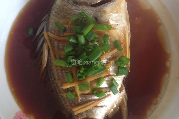 清蒸海鲫鱼的做法图解4