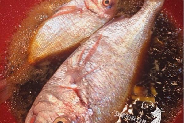 干烧鯛魚的做法图解5