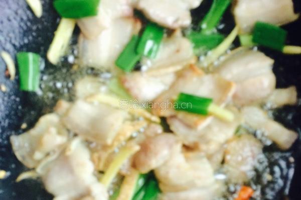 包菜烧肉的做法图解4