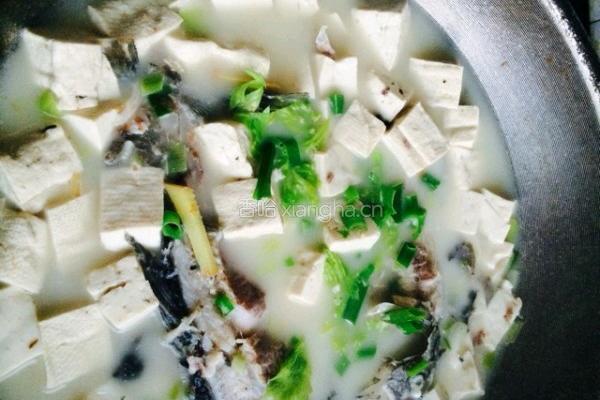 鲫鱼豆腐汤的做法图解4
