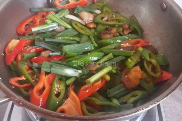 回锅肉的做法图解8