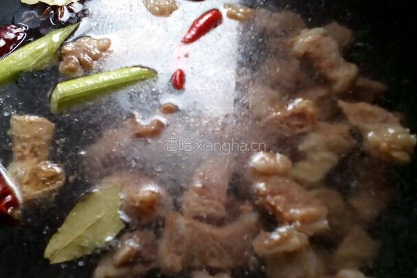 西红柿烧牛腩的做法图解4