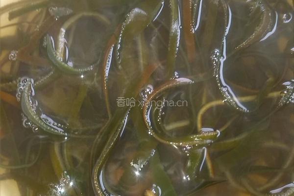香辣海带丝的做法图解2