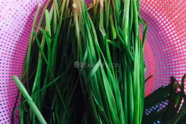 韭菜鸡蛋水饺的做法图解1