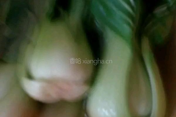 香菇油菜盏的做法图解5